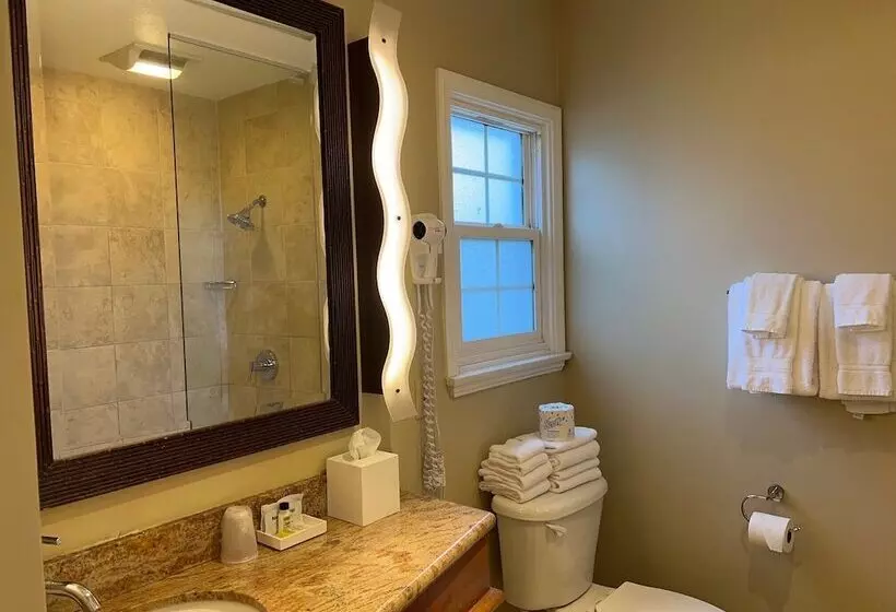 اتاق استاندارد, Holiday Inn Express And Suites La Jolla Windansea Beach, And Ihg