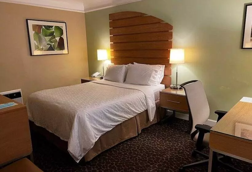 اتاق استاندارد, Holiday Inn Express And Suites La Jolla Windansea Beach, And Ihg