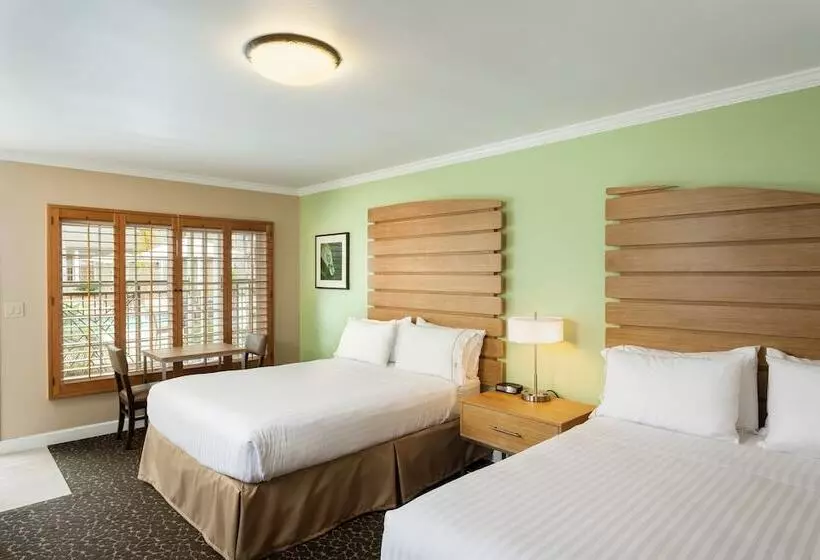 اتاق استاندارد, Holiday Inn Express And Suites La Jolla Windansea Beach, And Ihg