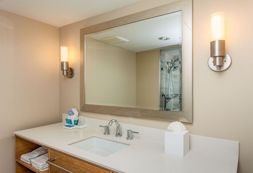 Студия Стандарт, Holiday Inn Express And Suites La Jolla   Windansea Beach, And Ihg