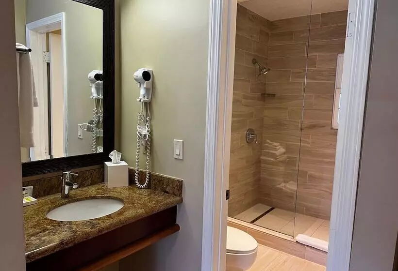 سوییت, Holiday Inn Express And Suites La Jolla Windansea Beach, And Ihg