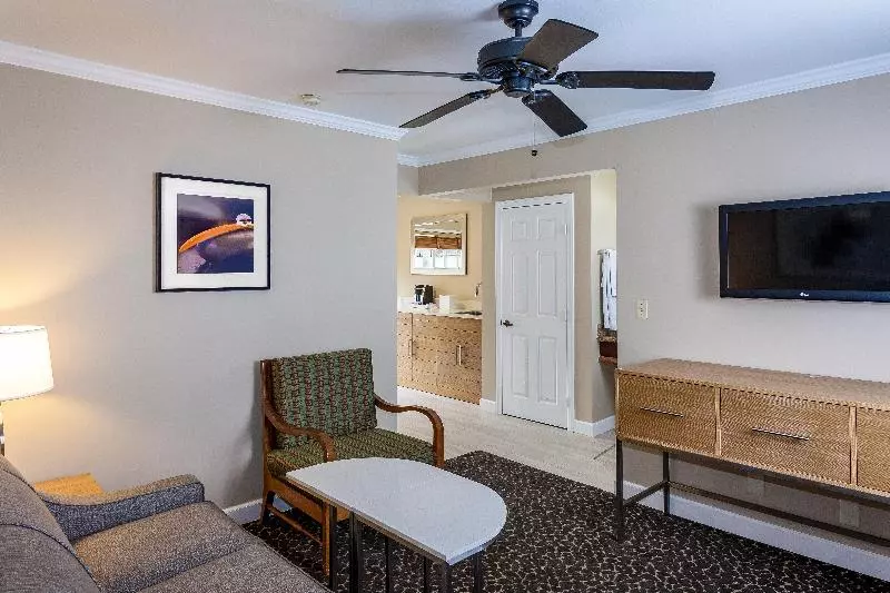 اتاق استاندارد با تخت بزرگ, Holiday Inn Express And Suites La Jolla Windansea Beach, And Ihg