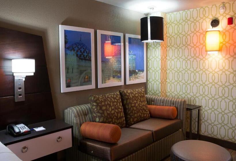 キングサイズベッドのスタンダードルーム, Holiday Inn Express Atlanta Galleria Ballpark Area, An Ihg