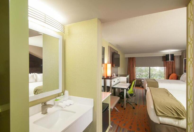 身障者適用スタンダードルーム, Holiday Inn Express Atlanta Galleria Ballpark Area, An Ihg