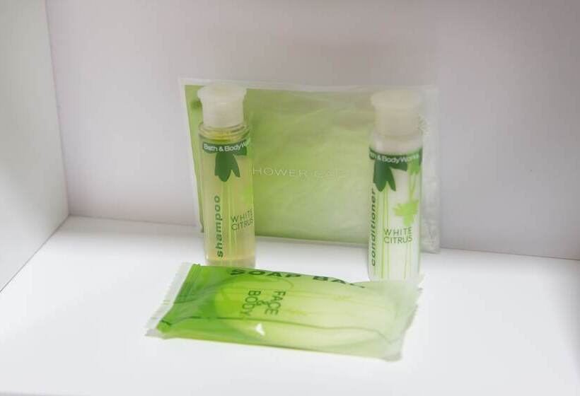 スタンダードルーム, Holiday Inn Express Atlanta Galleria Ballpark Area, An Ihg