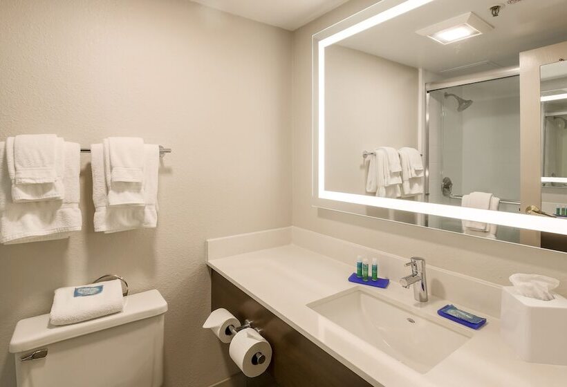 Номер Стандарт Адаптированный для Инвалидов, Holiday Inn Express Milwaukee   West Medical Center, An Ihg