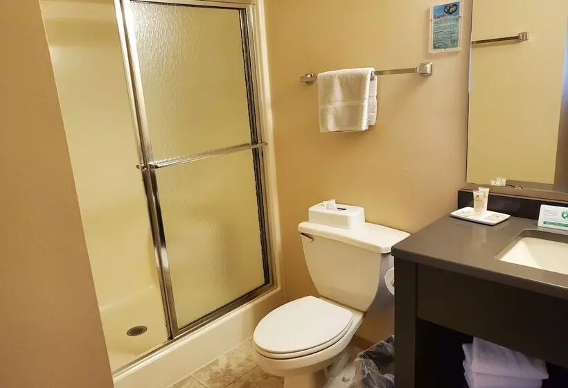 Standard-huone, Homestead Suites Fish Creek