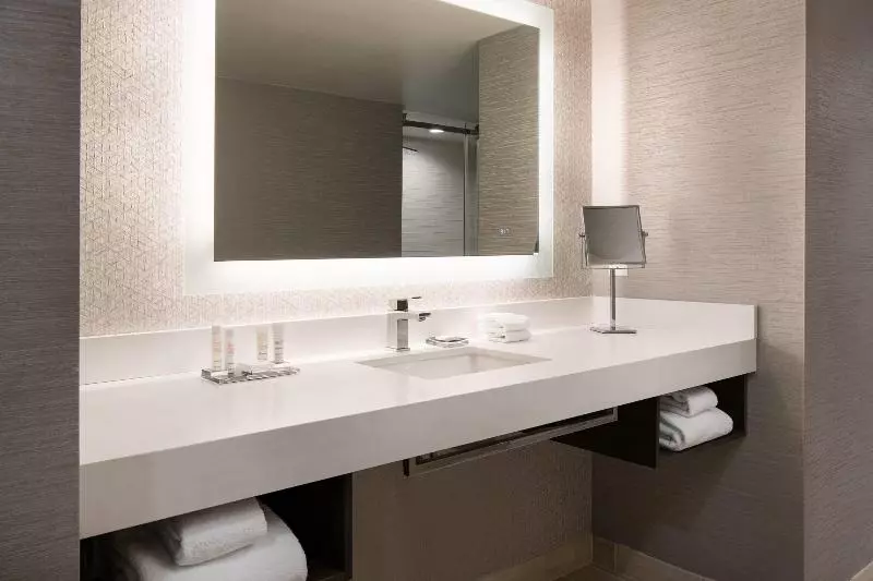 اتاق استاندارد با تخت بزرگ, Marriott Riverside At The Convention Center