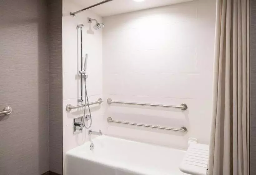 اتاق دلوکس مخصوص معلولین, Marriott Riverside At The Convention Center