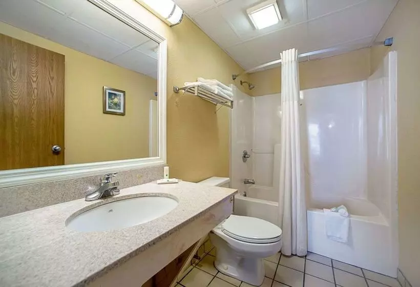 ２ダブルベッドのスタンダードルーム, Quality Inn Near Six Flags St. Louis