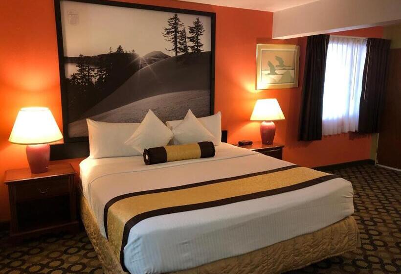 스탠다드 룸 킹사이즈 침대, Super 8 By Wyndham Ontario