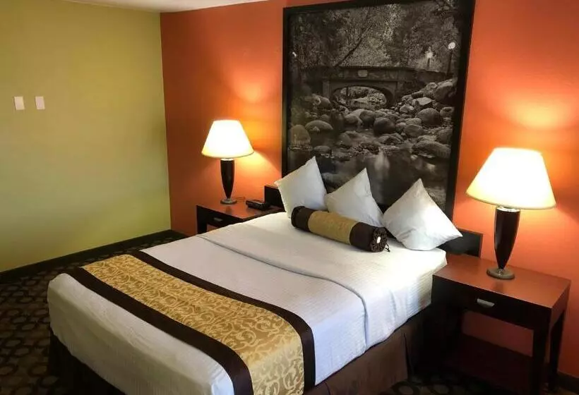 身障者適用スタンダードルーム, Super 8 By Wyndham Ontario