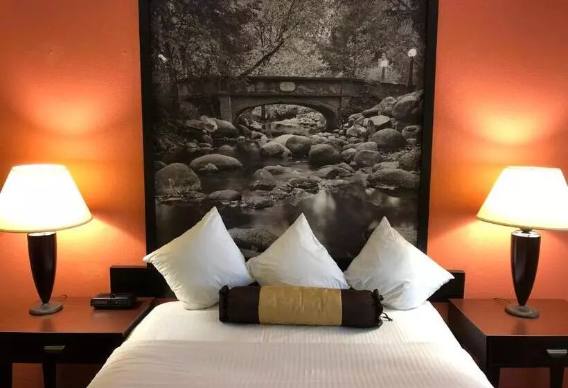 身障者適用スタンダードルーム, Super 8 By Wyndham Ontario
