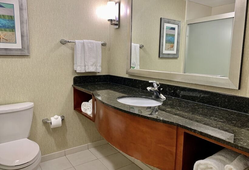 اتاق استاندارد با تخت دوبل, Holiday Inn & Suites Virginia Beach North Beach, An Ihg
