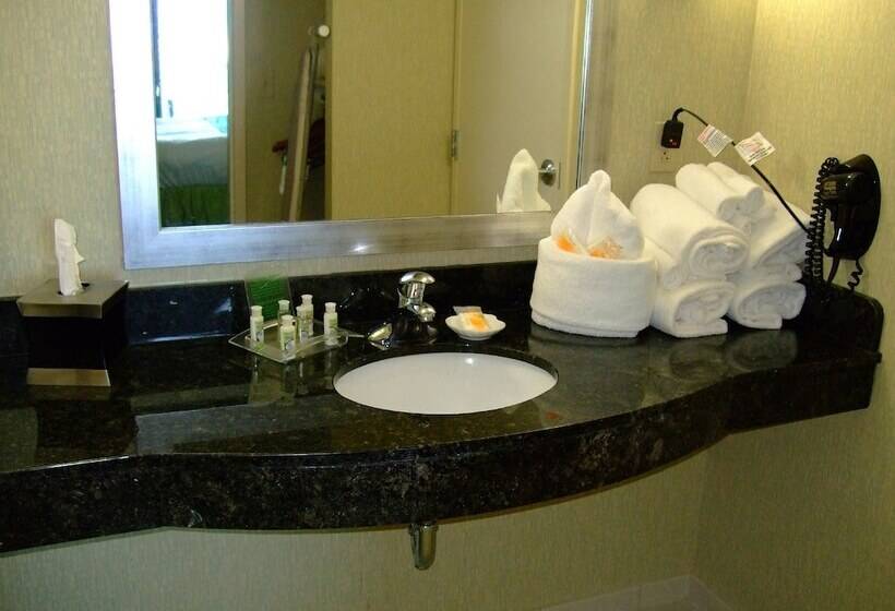 سوییت با چشمانداز دریا, Holiday Inn & Suites Virginia Beach North Beach, An Ihg