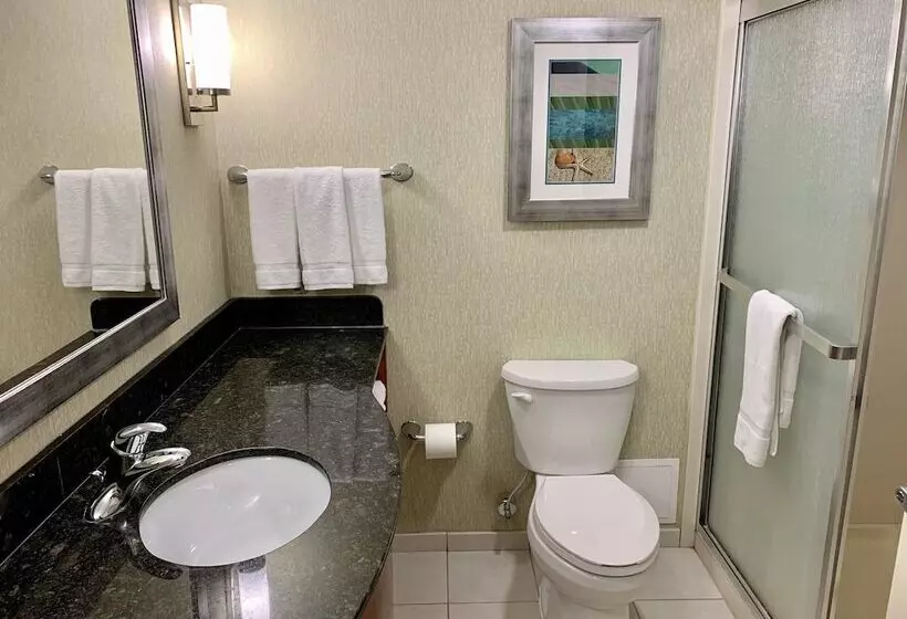 اتاق استاندارد با 2 تخت دوبل, Holiday Inn & Suites Virginia Beach   North Beach, An Ihg