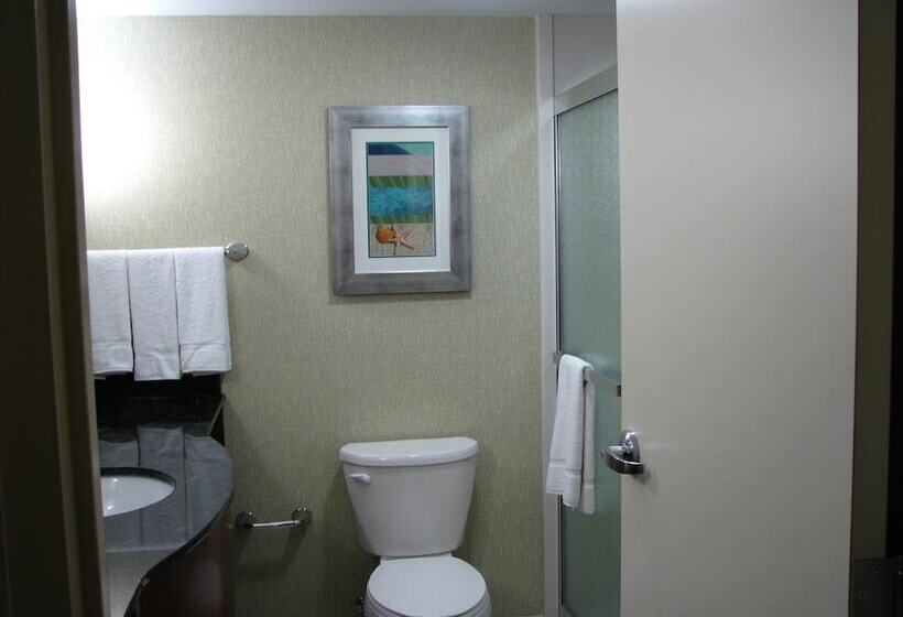 اتاق استاندارد با 2 تخت دوبل, Holiday Inn & Suites Virginia Beach North Beach, An Ihg