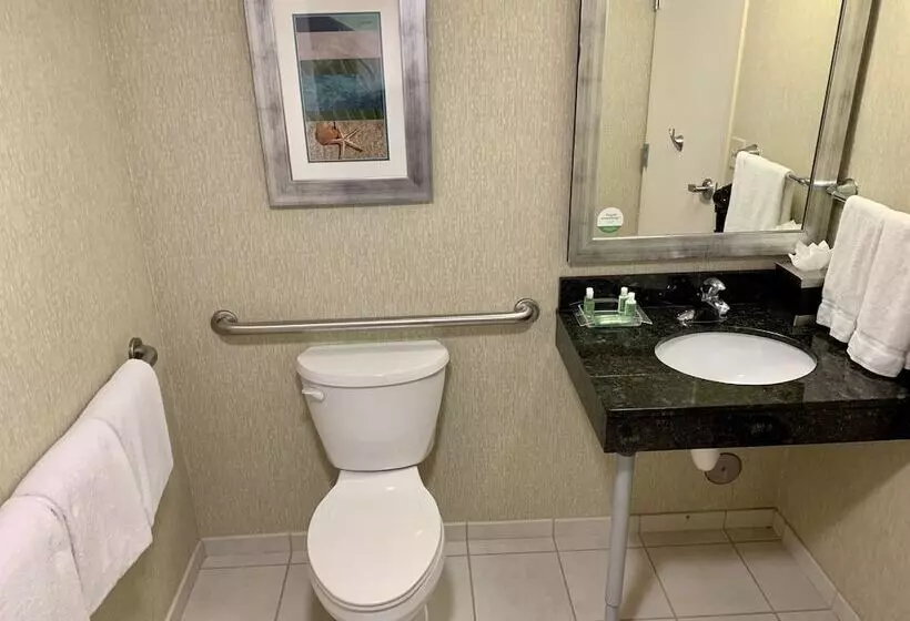 سوئیت برای معلولان, Holiday Inn & Suites Virginia Beach   North Beach, An Ihg
