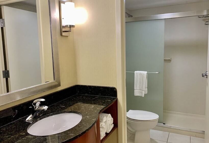 اتاق استاندارد با تخت دوبل, Holiday Inn & Suites Virginia Beach North Beach, An Ihg