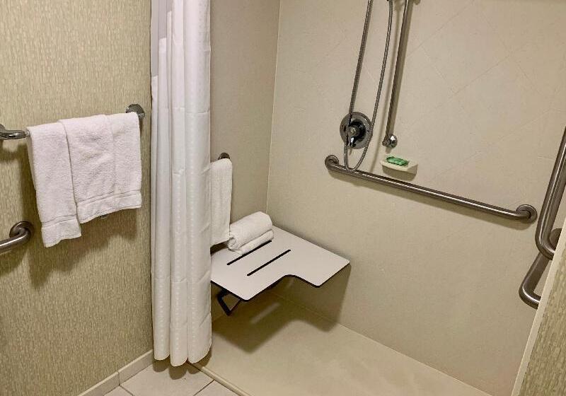 اتاق استاندارد با تخت بزرگ برای معلولان, Holiday Inn & Suites Virginia Beach North Beach, An Ihg