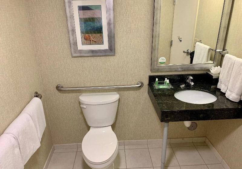 اتاق استاندارد با تخت بزرگ برای معلولان, Holiday Inn & Suites Virginia Beach North Beach, An Ihg