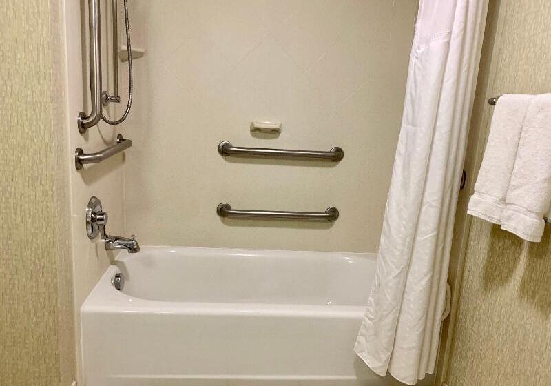 اتاق استاندارد با تخت بزرگ برای معلولان, Holiday Inn & Suites Virginia Beach North Beach, An Ihg