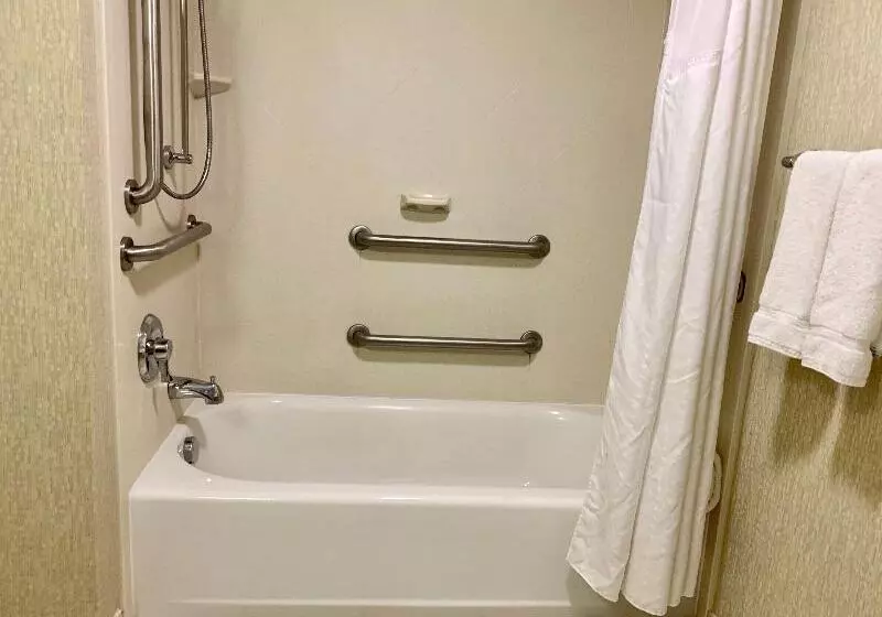 اتاق استاندارد با تخت بزرگ برای معلولان, Holiday Inn & Suites Virginia Beach   North Beach, An Ihg