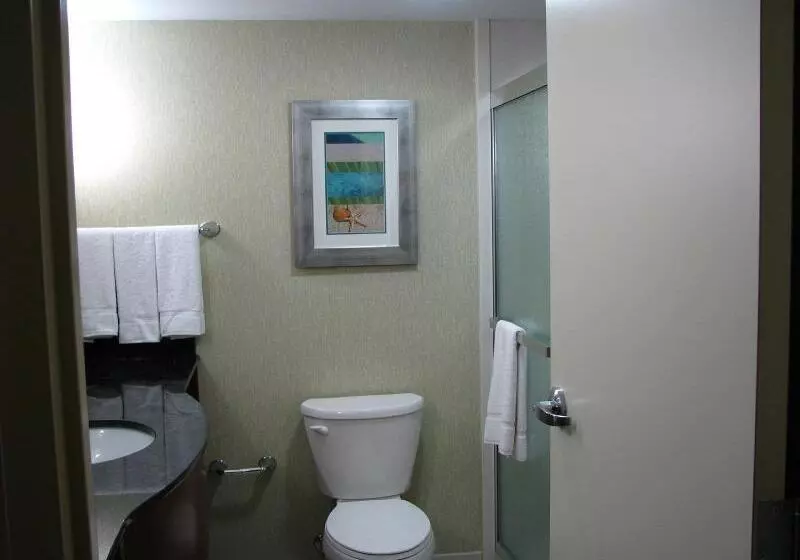 اتاق استاندارد با تخت بزرگ, Holiday Inn & Suites Virginia Beach   North Beach, An Ihg