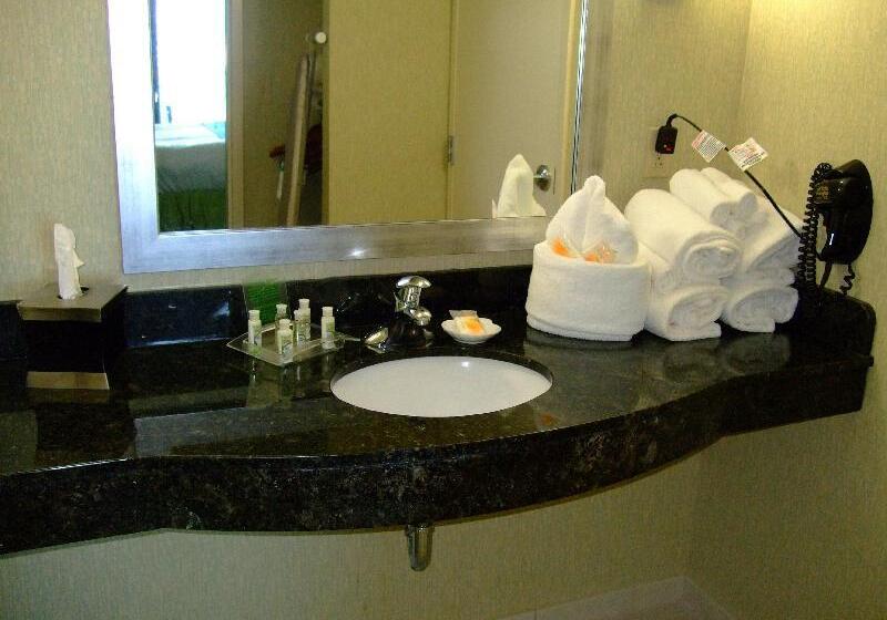 اتاق استاندارد با تخت بزرگ, Holiday Inn & Suites Virginia Beach North Beach, An Ihg