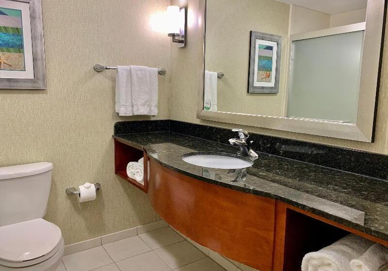 스탠다드 룸 킹사이즈 침대, Holiday Inn & Suites Virginia Beach   North Beach, An Ihg
