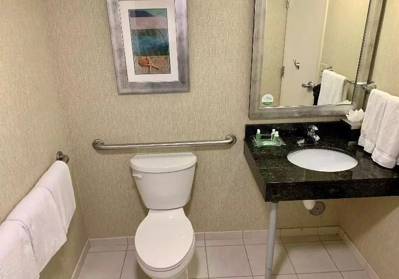 اتاق استاندارد برای معلولان, Holiday Inn & Suites Virginia Beach   North Beach, An Ihg