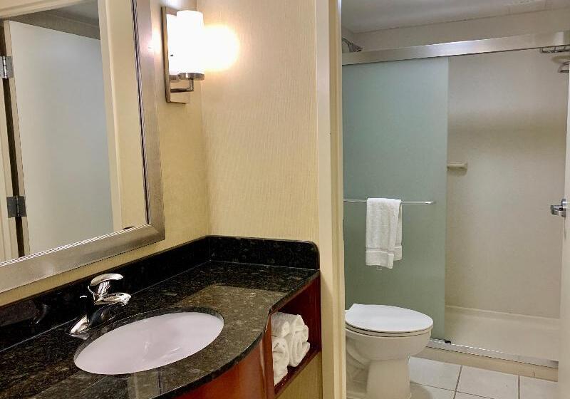 اتاق استاندارد با چشمانداز دریا, Holiday Inn & Suites Virginia Beach North Beach, An Ihg