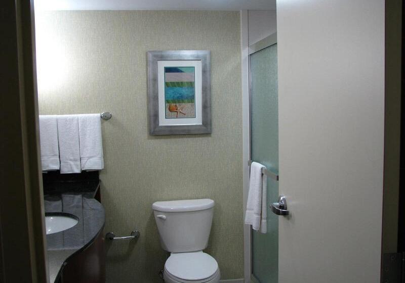 اتاق استاندارد با چشمانداز دریا, Holiday Inn & Suites Virginia Beach North Beach, An Ihg