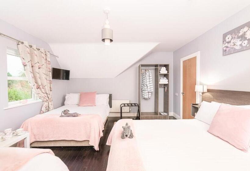 غرفة ديلوكس عائلية, Caravogue House