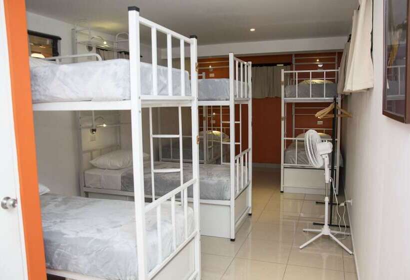 Кровать в Общей Комнате, Del Paseo Hostel