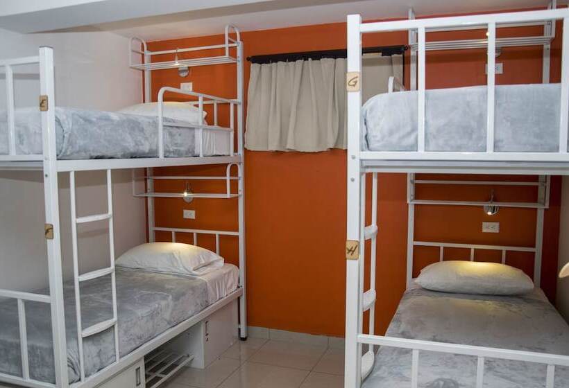 공동 객실, Del Paseo   Hostel