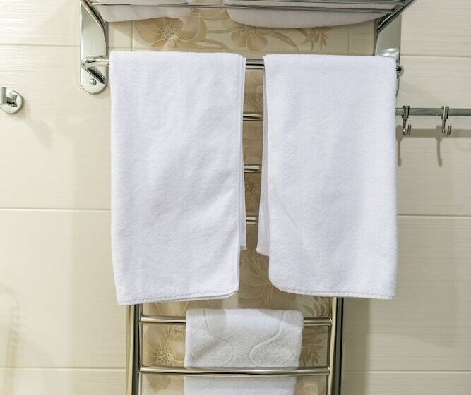 إستوديو كلاسيكى, Provans