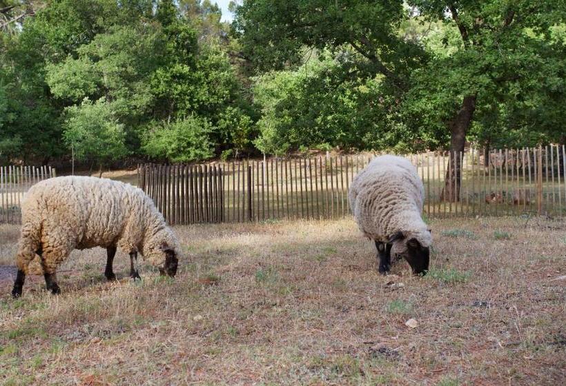 침실 1개 아파트, Domaine Les Petites Vaines