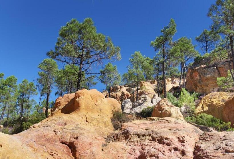 Апартаменты Superior 1 Спальня, Domaine Les Petites Vaines