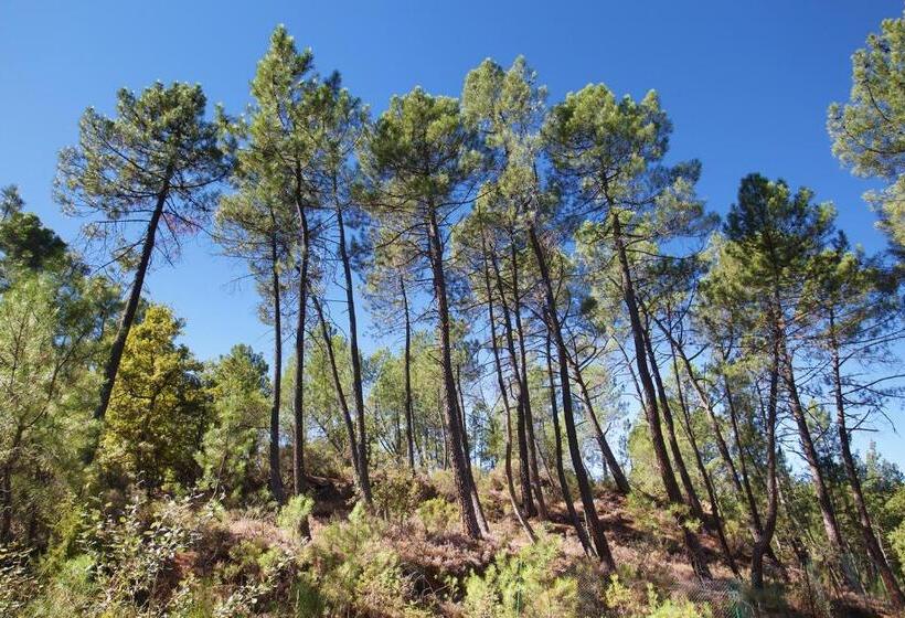 带1个卧室的豪华公寓, Domaine Les Petites Vaines