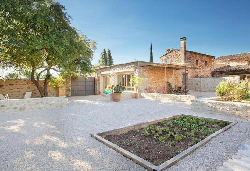 Апартаменты Superior 1 Спальня, Domaine Les Petites Vaines