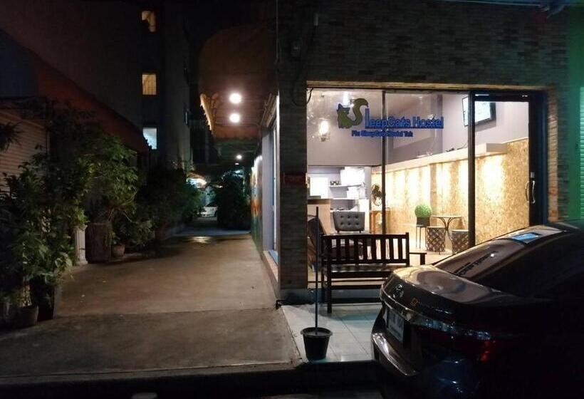 اتاق استاندارد سه نفره, Sleepcats Hostel