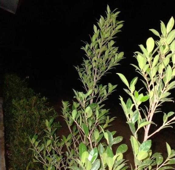 اتاق سوپریور, Lanta Rabbit Rooms