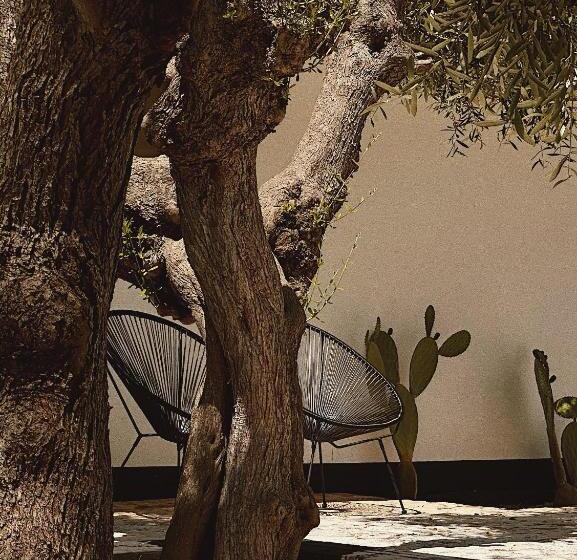 豪华房间, Quomorari