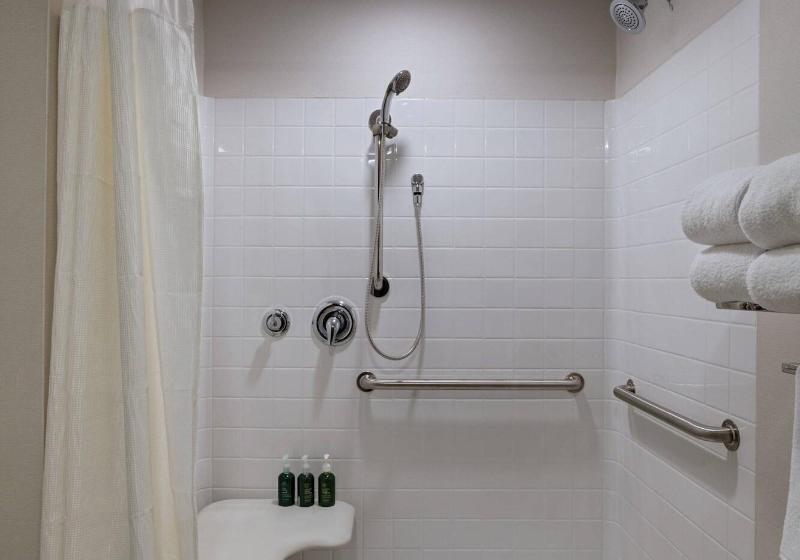 キングサイズベッドのスイートルーム, Fairfield Inn And Suites By Marriott St Louis Downtown