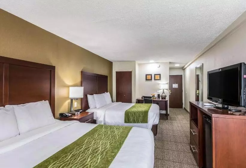スタンダードルーム, Comfort Inn Medfordlong Island