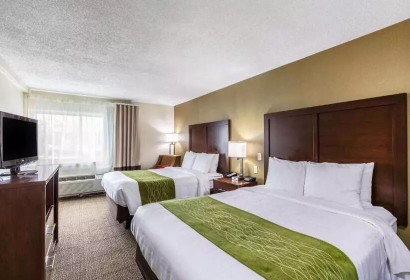 身障者適用スタンダードルーム, Comfort Inn Medfordlong Island
