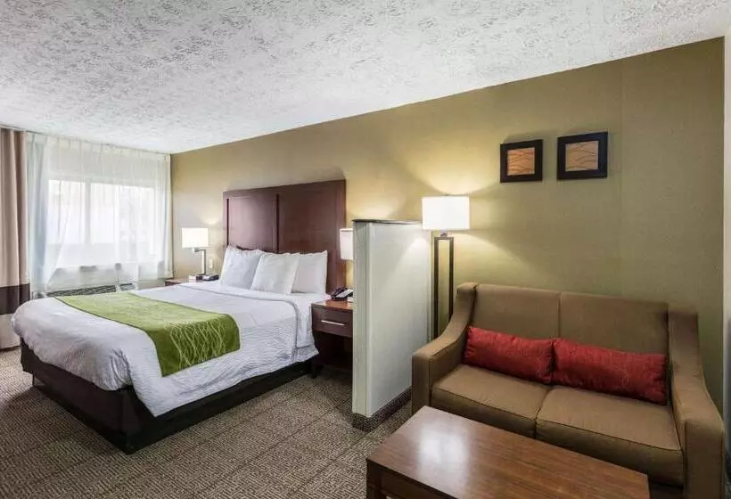 スーペリアールーム, Comfort Inn Medfordlong Island