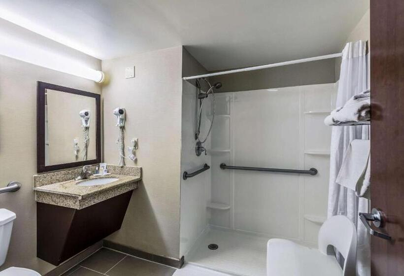 Номер Стандарт Кровать Кинг Адаптированный для Инвалидов, Comfort Inn Medfordlong Island