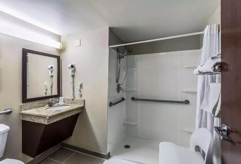身障者適用キングサイズベッドルーム, Comfort Inn Medfordlong Island